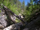 photo thumbnail #3