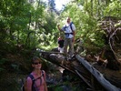 photo thumbnail #5