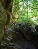 photo thumbnail #7