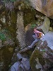 photo thumbnail #8