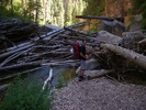 photo thumbnail #10