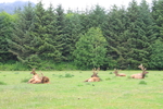photo thumbnail #9