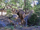 photo thumbnail #9