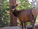 photo thumbnail #10