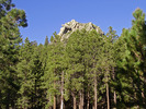 photo thumbnail #12
