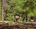 photo thumbnail #15