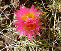 photo thumbnail #6