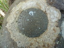 photo thumbnail #7