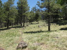 photo thumbnail #1