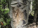photo thumbnail #3