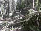 photo thumbnail #7