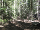 photo thumbnail #8