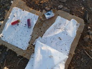 photo thumbnail #4