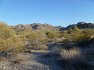 photo thumbnail #2