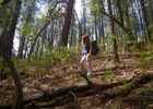 photo thumbnail #1