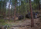 photo thumbnail #2
