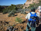 photo thumbnail #2