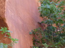 photo thumbnail #11