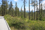 photo thumbnail #2
