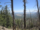 photo thumbnail #11