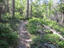 photo thumbnail #2