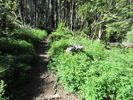 photo thumbnail #3