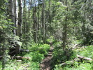 photo thumbnail #9