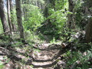 photo thumbnail #10