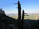 photo thumbnail #4