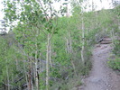 photo thumbnail #5