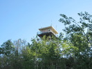 photo thumbnail #6