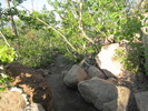 photo thumbnail #9