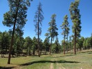 photo thumbnail #8