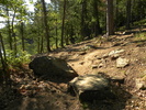 photo thumbnail #2
