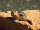 photo thumbnail #5