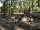 photo thumbnail #6