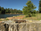 photo thumbnail #11