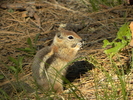photo thumbnail #15