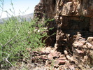 photo thumbnail #12