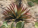 photo thumbnail #15