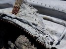 photo thumbnail #5