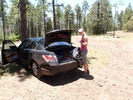 photo thumbnail #1