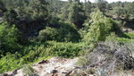 photo thumbnail #1