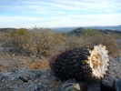 photo thumbnail #3