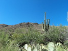 photo thumbnail #1