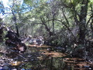 photo thumbnail #5