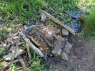 photo thumbnail #8