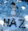 photo thumbnail #6