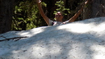 photo thumbnail #7