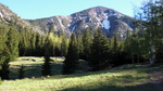 photo thumbnail #14